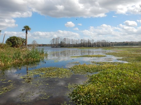 Orlando Wetlands