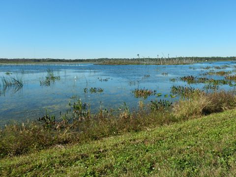Orlando Wetlands
