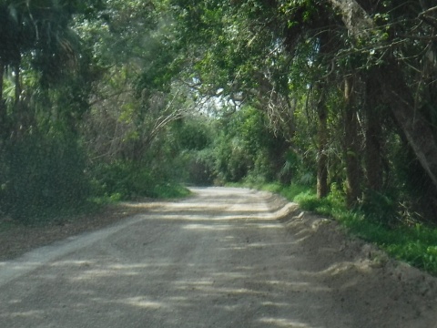 Historic Jungle Trail