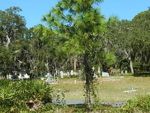 Florida Bike Trails, Cedar Key cemetery