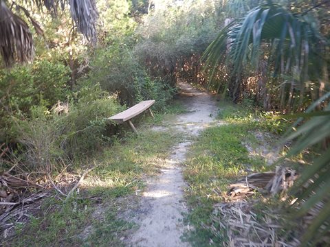 Florida Bike Trails, Cedar Key, Historic Trestle Trail