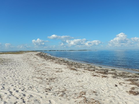 Bald Point State Park, FL Panhandle