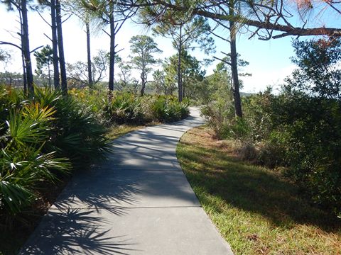 Bald Point State Park, FL Panhandle