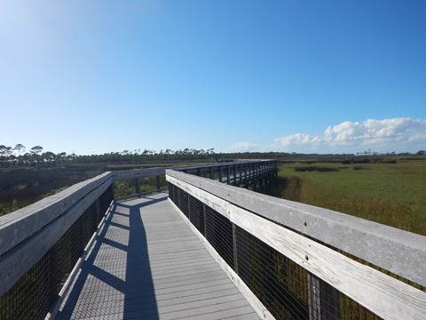 Bald Point State Park, FL Panhandle