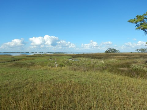 Bald Point State Park, FL Panhandle