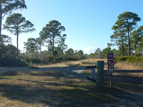 Bald Point State Park, FL Panhandle