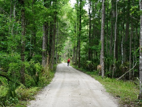 Chassahowitzka Wildlife Management Area, eco-biking