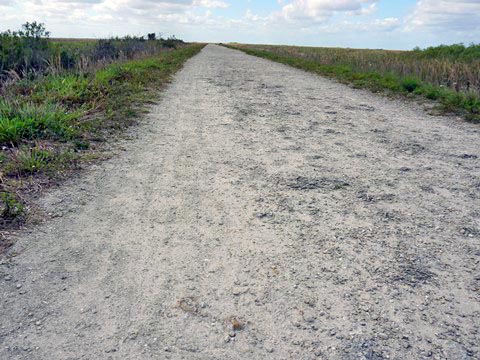 Everglades, Conservation Levee Greenway