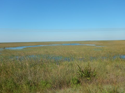 Everglades, Conservation Levee Greenway