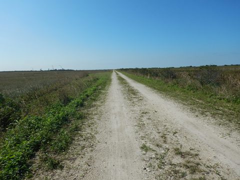 Everglades, Southern Glades Trail