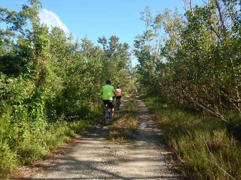 Everglades, Rowdy Bend Trail