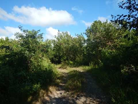 Everglades, Rowdy Bend Trail