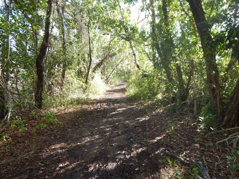 Everglades, Snake Bight Trail