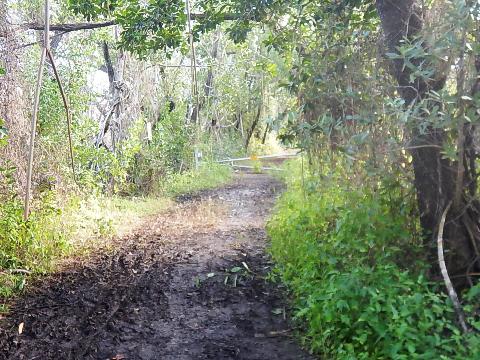 Everglades, Snake Bight Trail