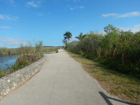 Everglades, Long Pine Key Nature Trail