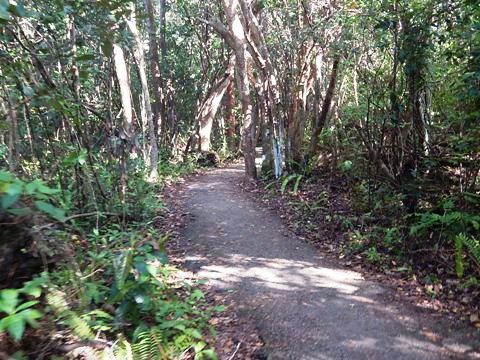 Everglades, Long Pine Key Nature Trail