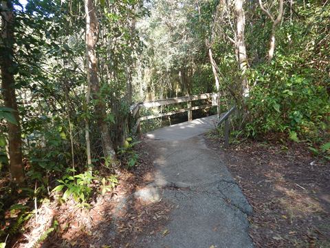 Everglades, Long Pine Key Nature Trail