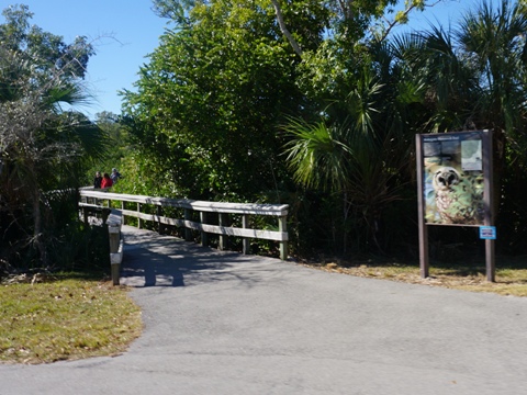 Everglades, Long Pine Key Nature Trail