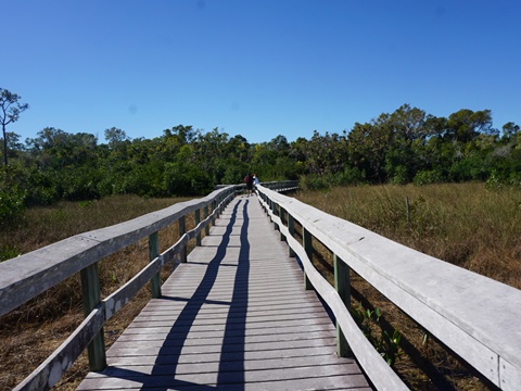 Everglades, Long Pine Key Nature Trail