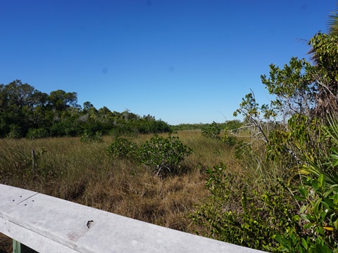 Everglades, Long Pine Key Nature Trail