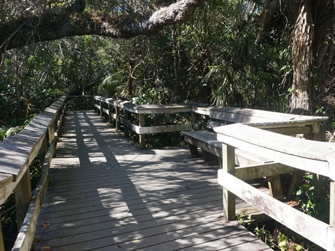 Everglades, Long Pine Key Nature Trail