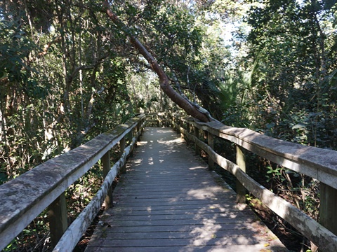 Everglades, Long Pine Key Nature Trail