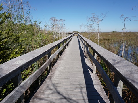 Everglades, Long Pine Key Nature Trail