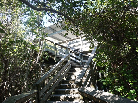 Everglades, Long Pine Key Nature Trail