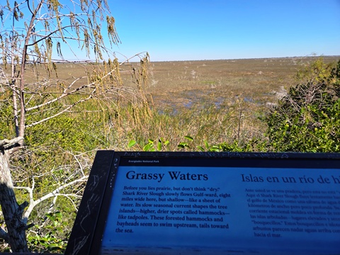 Everglades, Long Pine Key Nature Trail