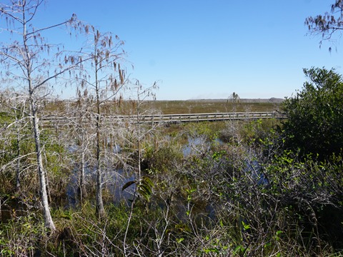 Everglades, Long Pine Key Nature Trail