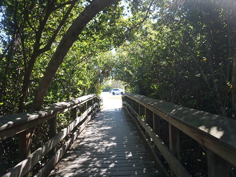 Everglades, Long Pine Key Nature Trail