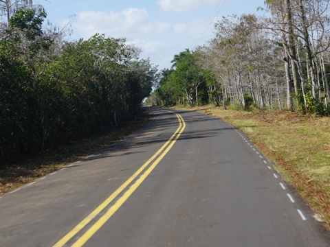 Everglades, Loop Road