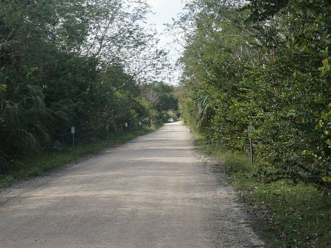 Everglades, Loop Road