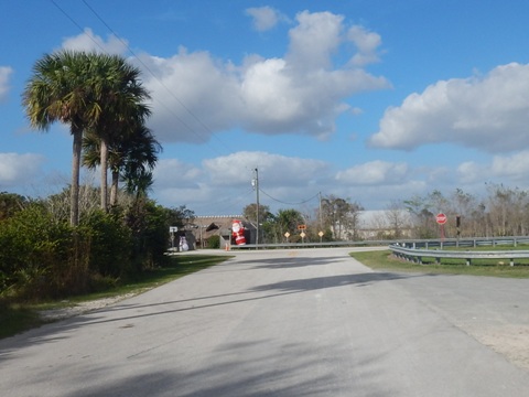 Everglades, Loop Road