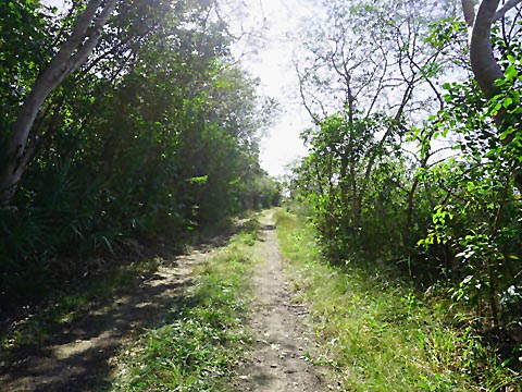 Everglades, Old Ingraham Highway