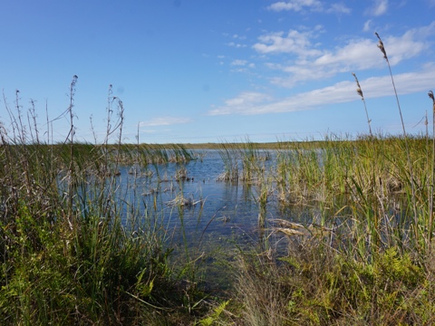 Everglades, Old Ingraham Highway