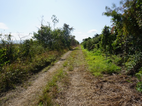 Everglades, Old Ingraham Highway