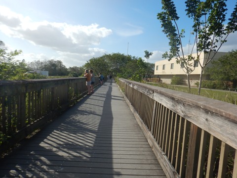 Everglades, Tamiami Trail