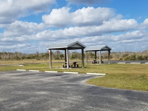 Everglades, Tamiami Trail