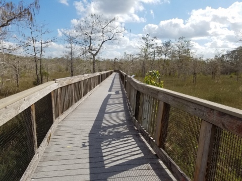 Everglades, Tamiami Trail