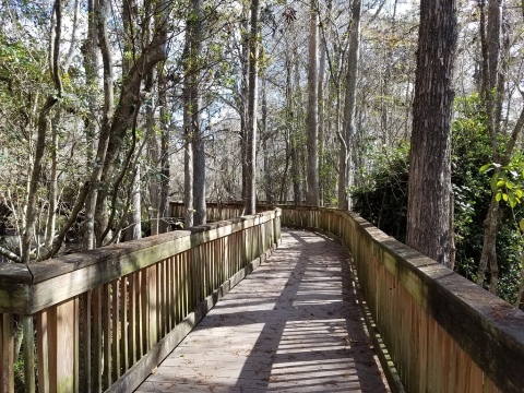 Everglades, Tamiami Trail