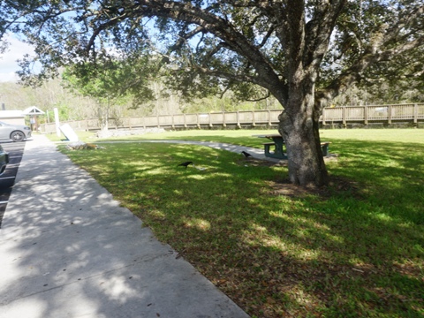 Everglades, Tamiami Trail