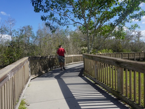 Everglades, Tamiami Trail