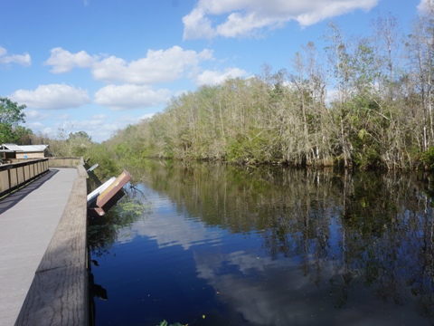 Everglades, Tamiami Trail