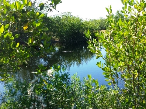 Everglades, Tamiami Trail