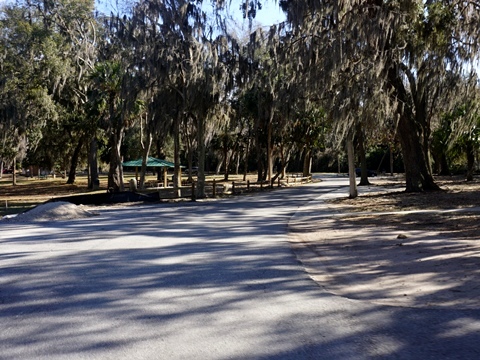 Lake Apopka Loop Trail