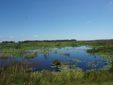 Lakeside Ranch Stormwater Treatment Area, Florida eco-biking, Lake Okeechobee
