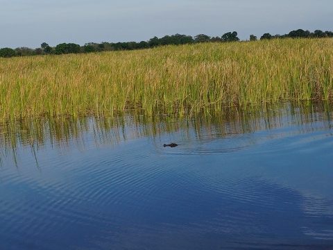 Lakeside Ranch Stormwater Treatment Area, Florida eco-biking, Lake Okeechobee