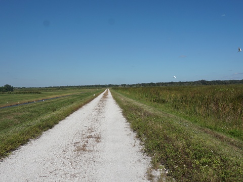 Lakeside Ranch Stormwater Treatment Area, Florida eco-biking, Lake Okeechobee