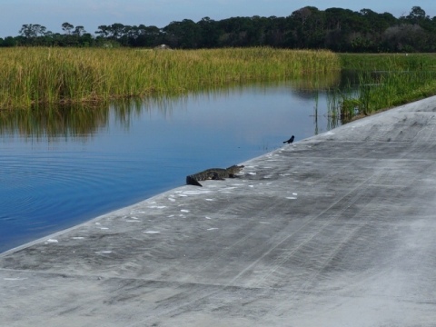 Lakeside Ranch Stormwater Treatment Area, Florida eco-biking, Lake Okeechobee